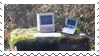 Stamp 7